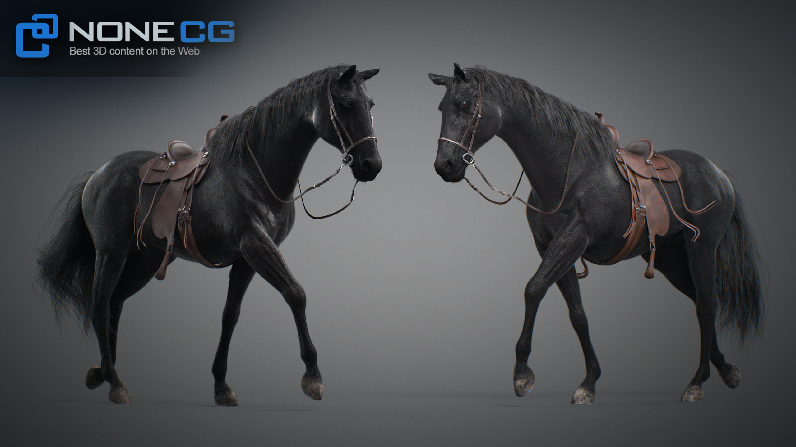 Animated Horses v5 3D model_70