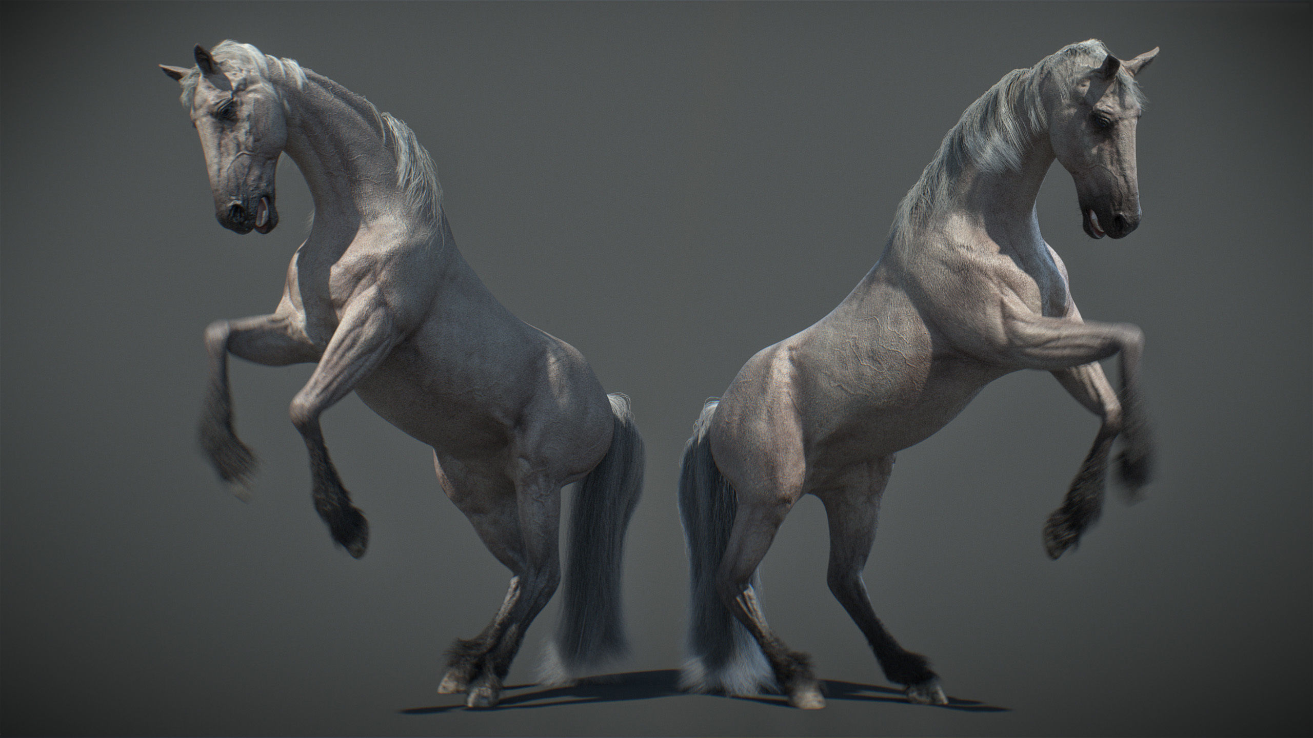 Animated Horses v5 3D model_22