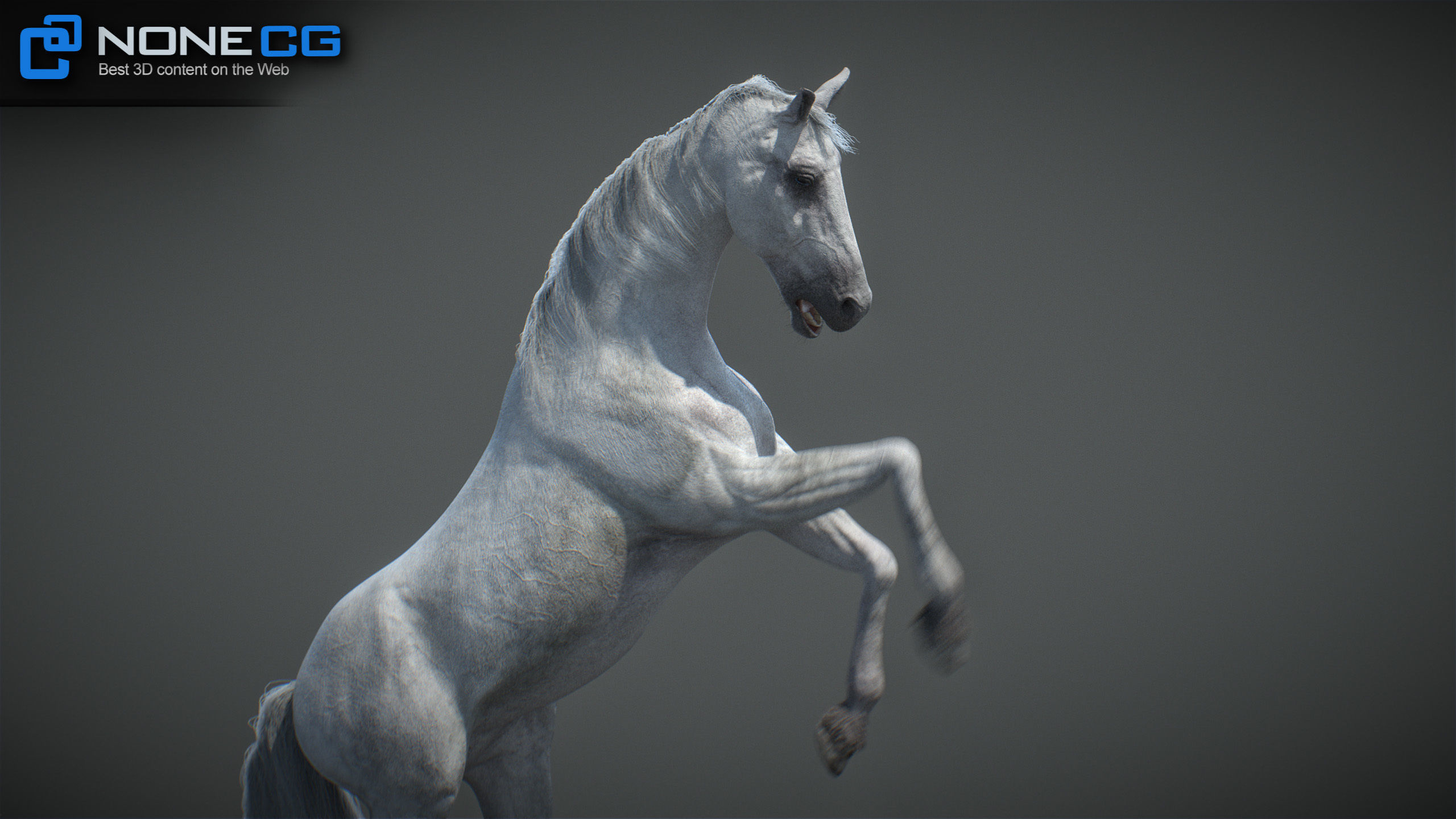 Animated Horses v5 3D model_28
