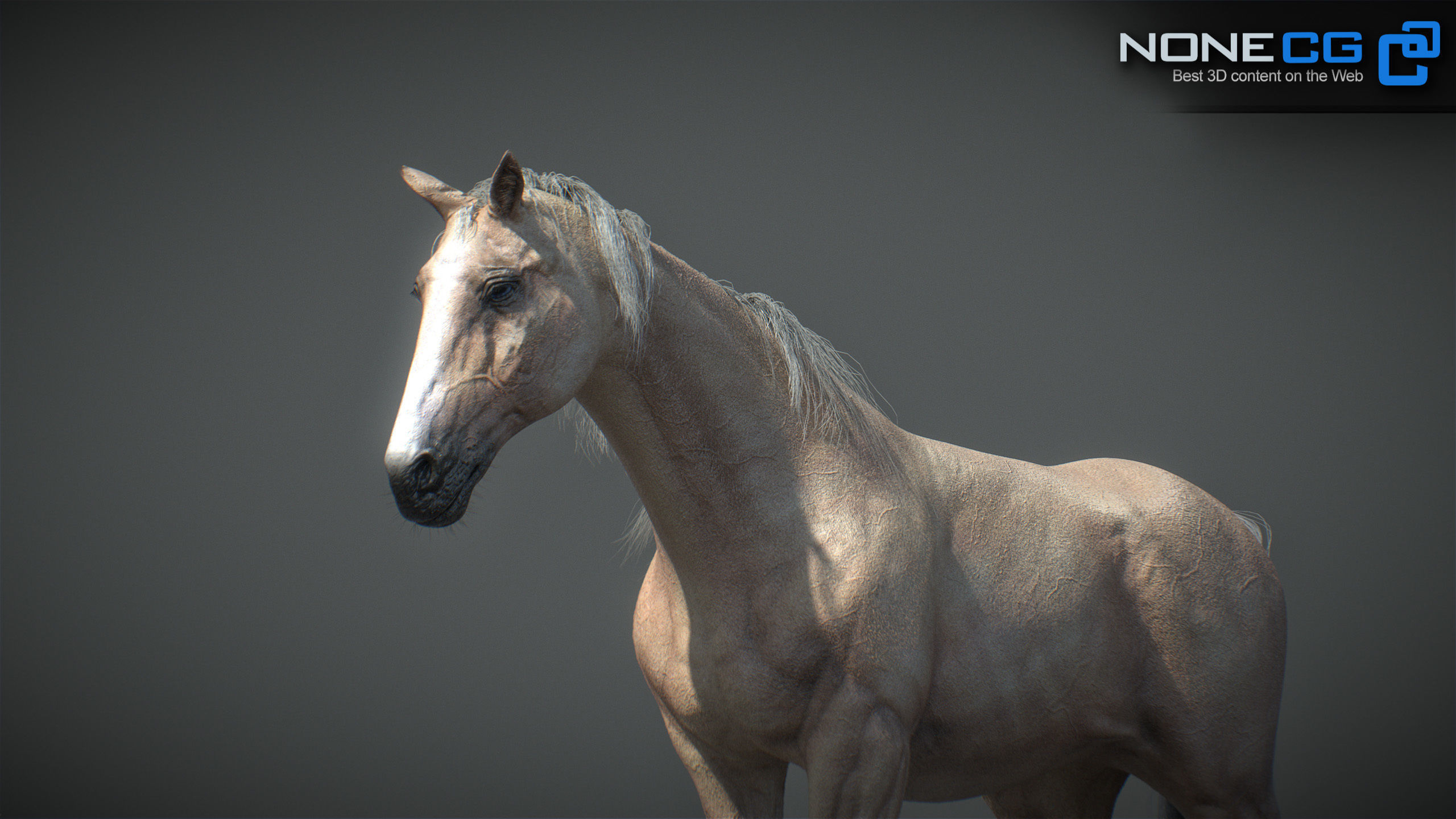Animated Horses v5 3D model_27