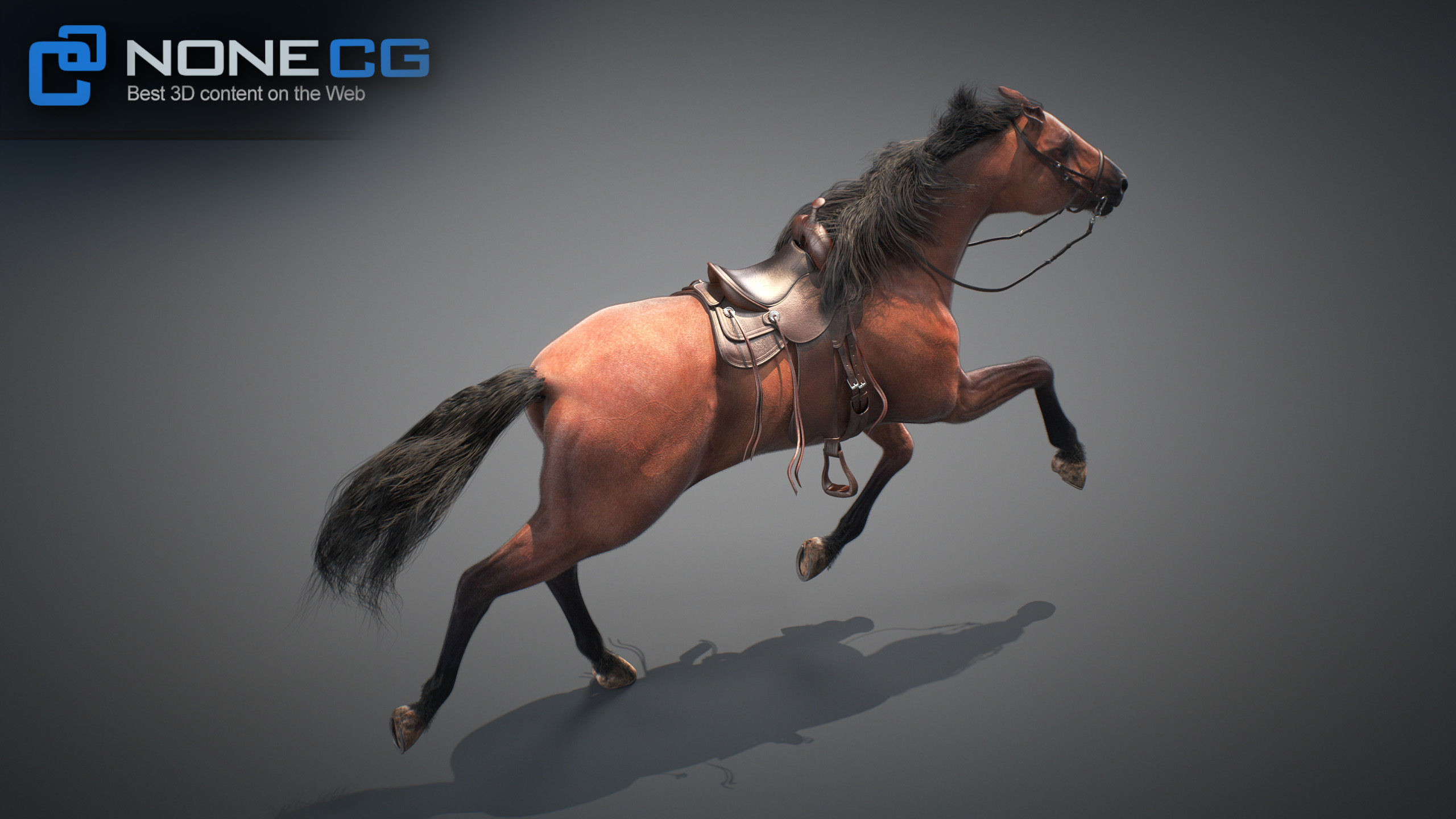 Animated Horses v5 3D model_42