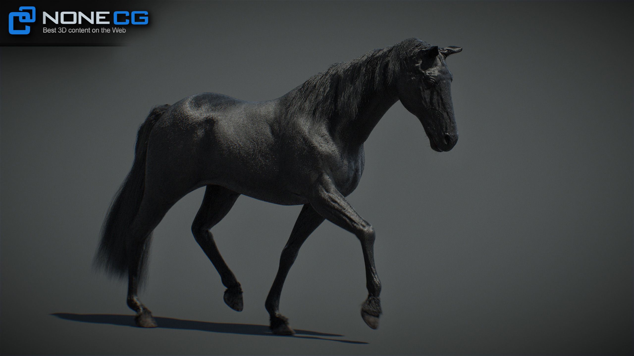 Animated Horses v5 3D model_21