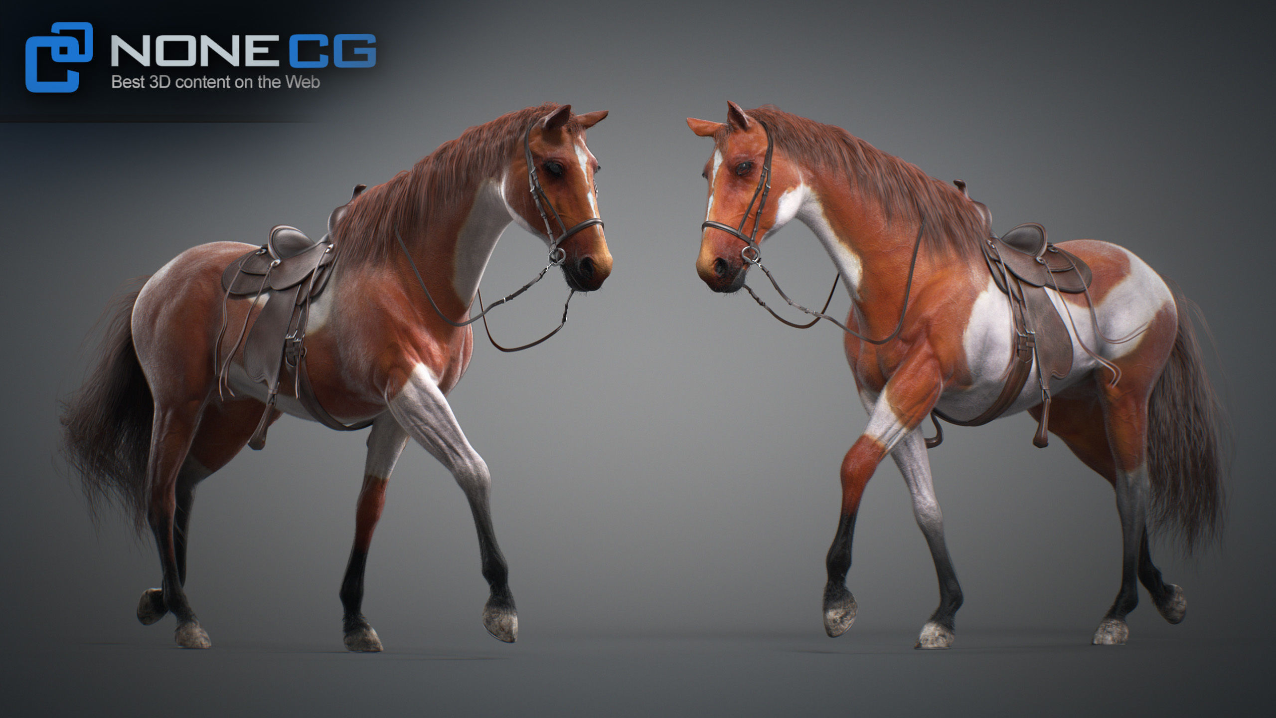 Animated Horses v5 3D model_59