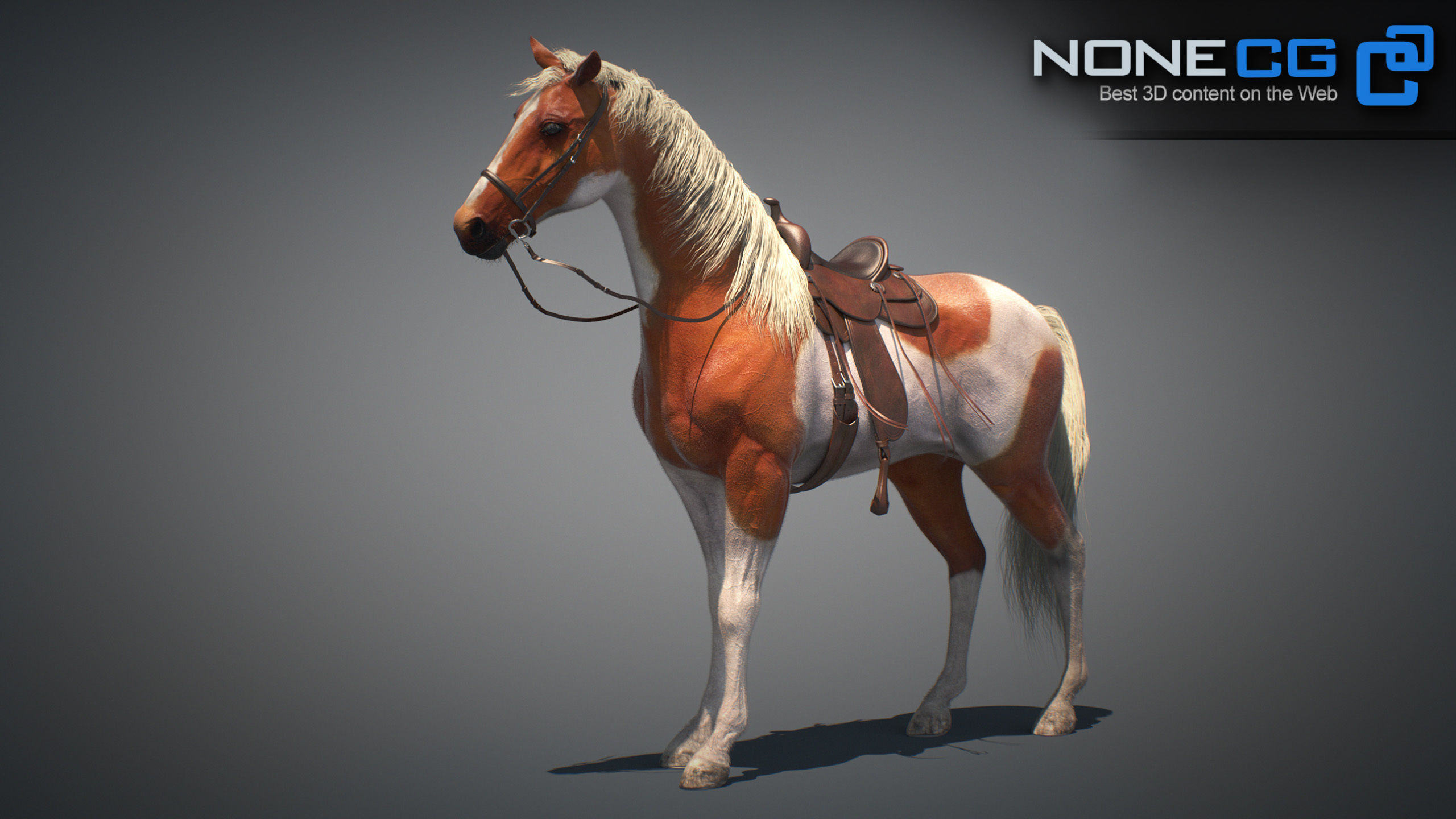 Animated Horses v5 3D model_23