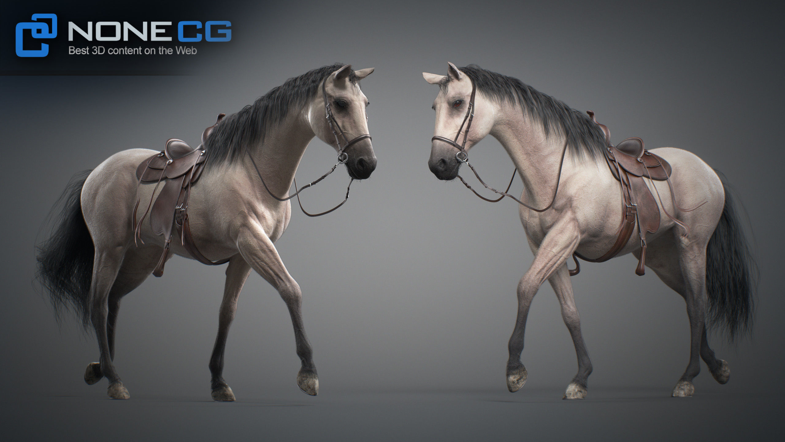 Animated Horses v5 3D model_64