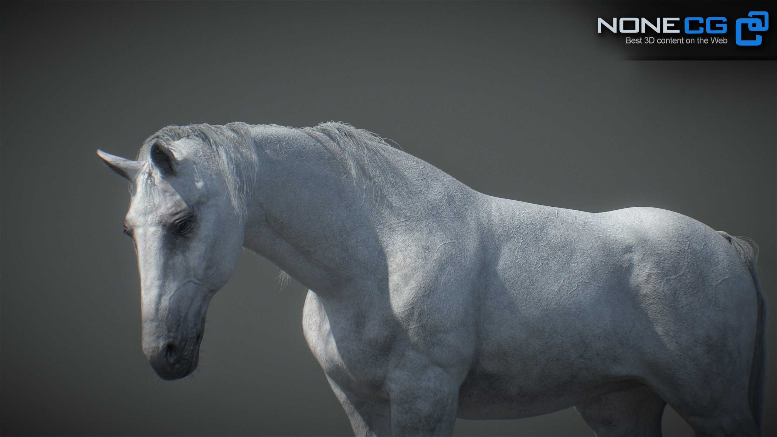 Animated Horses v5 3D model_50