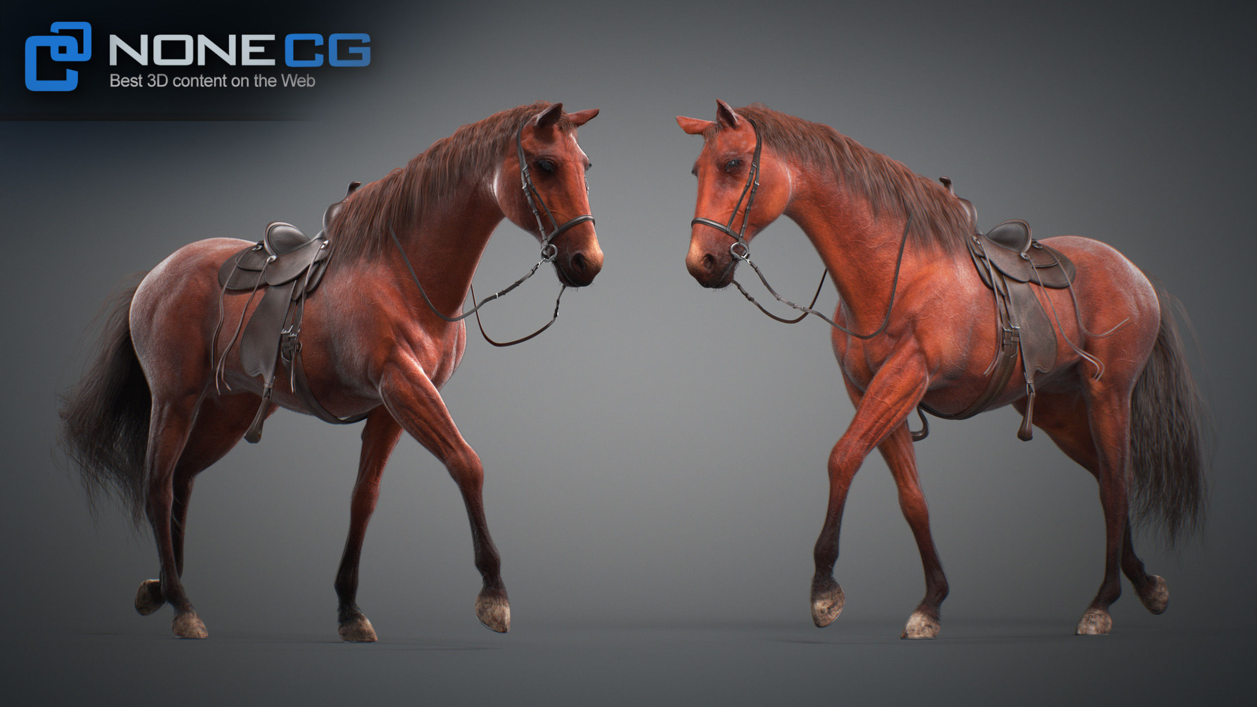 Animated Horses v5 3D model_63
