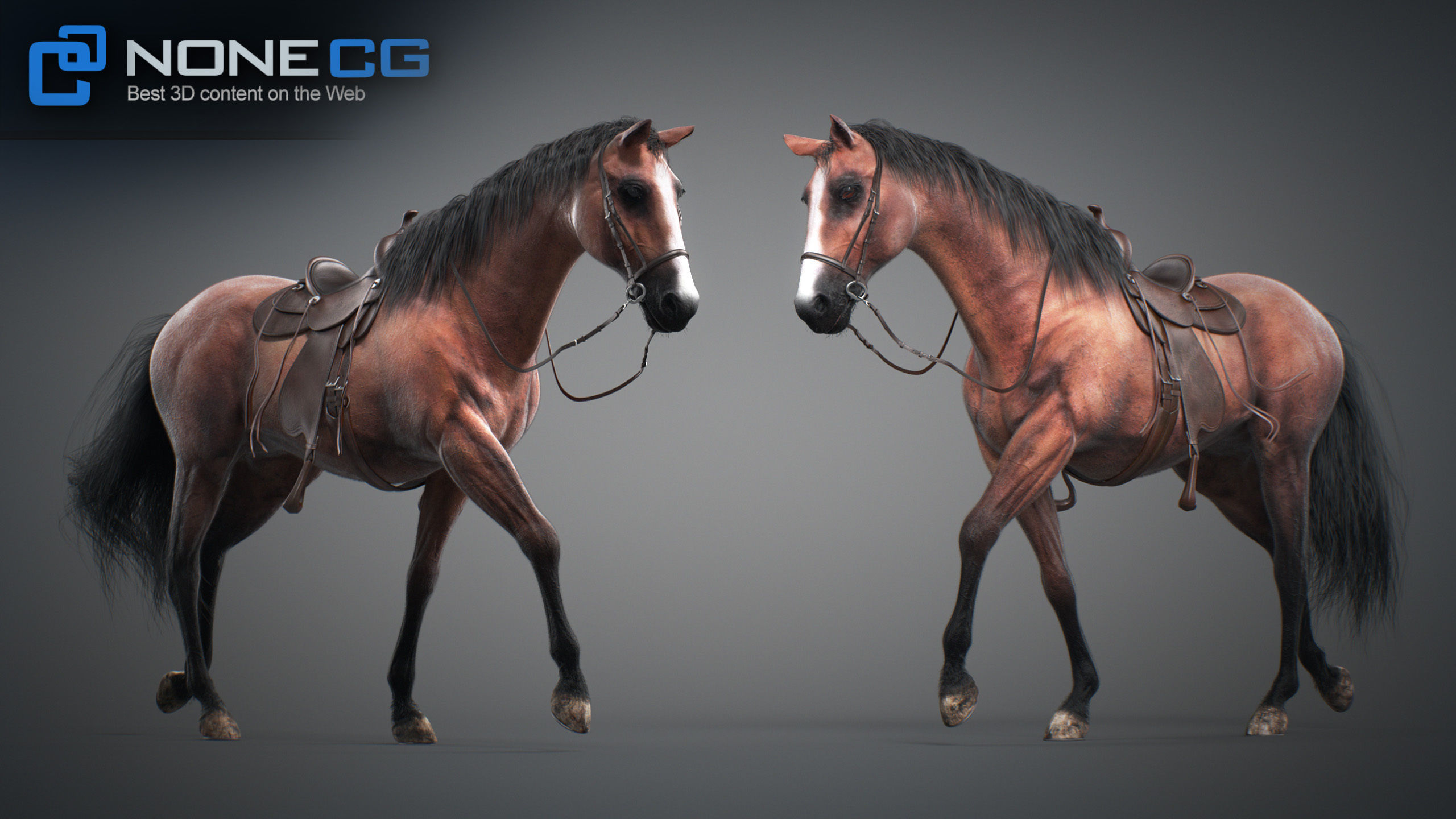 Animated Horses v5 3D model_67