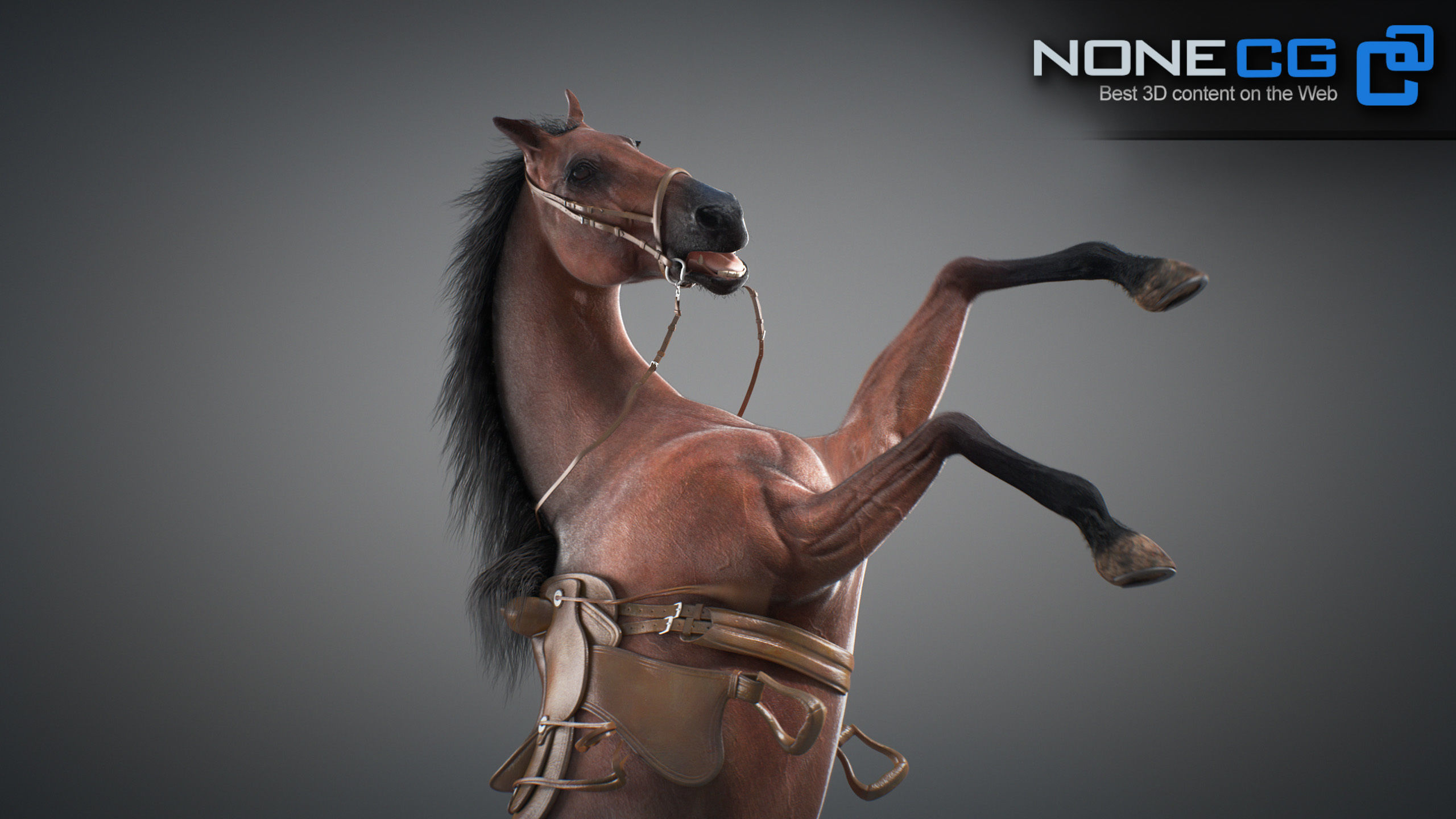 Animated Horses v5 3D model_18