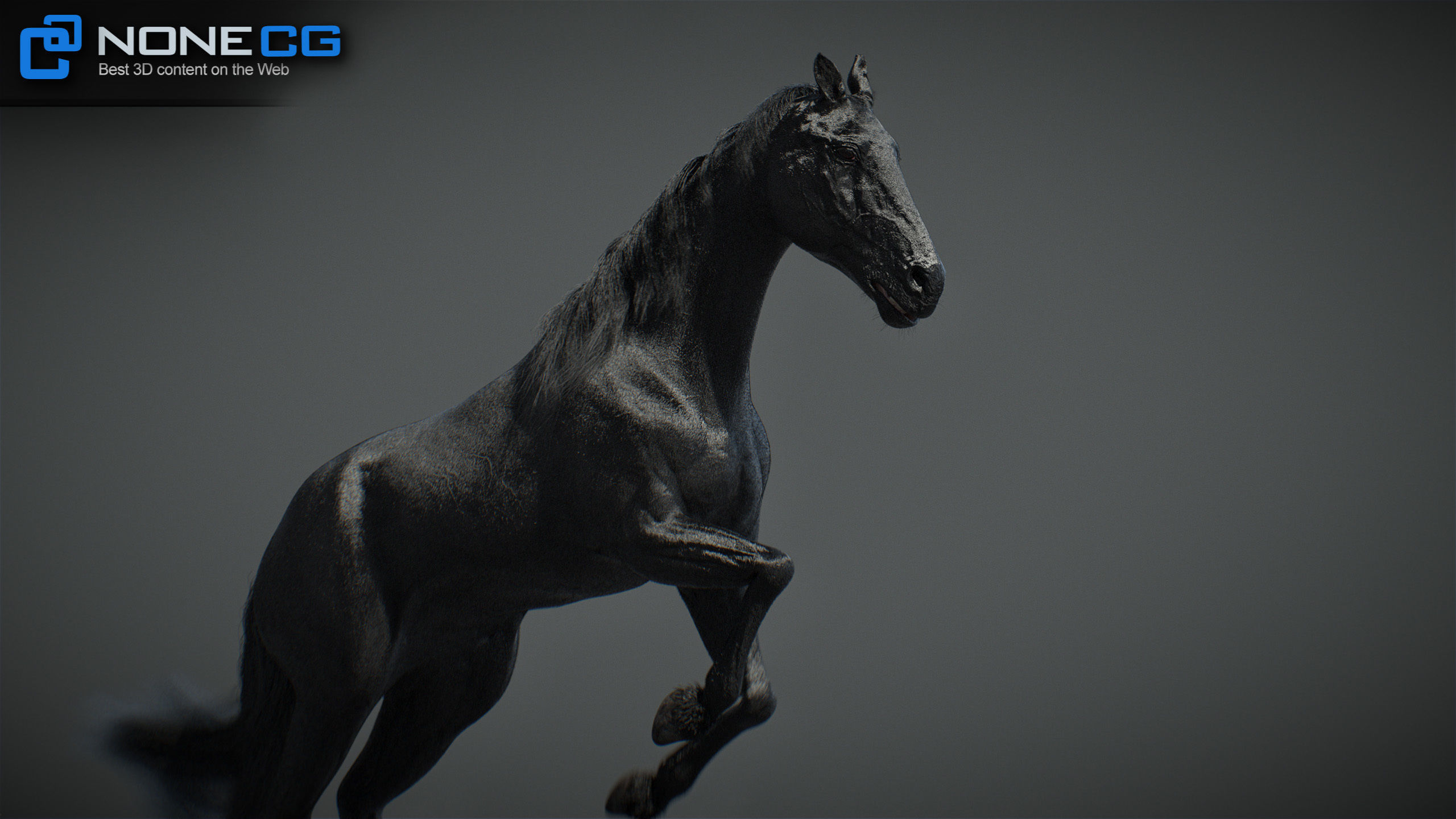 Animated Horses v5 3D model_34