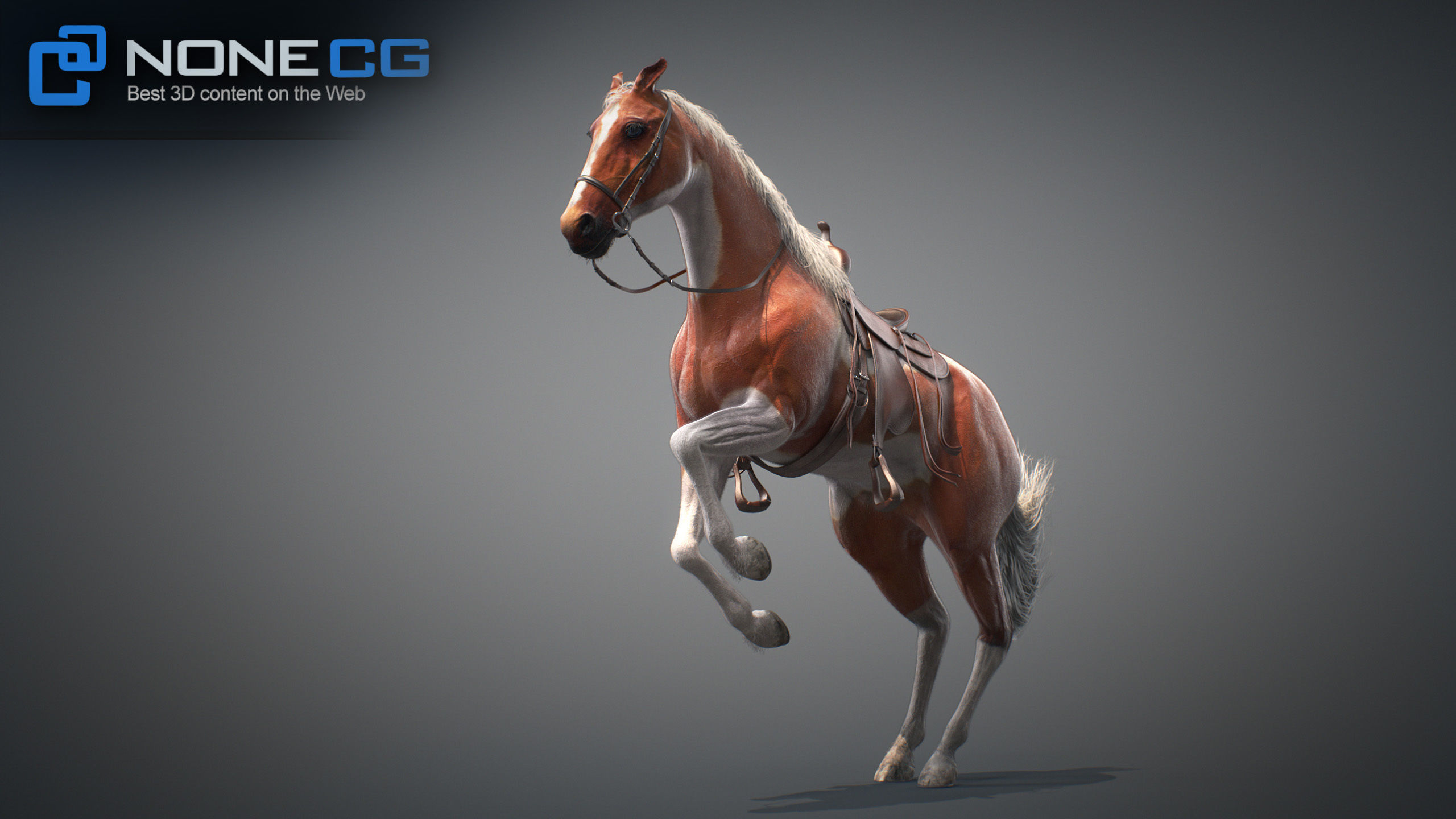 Animated Horses v5 3D model_47