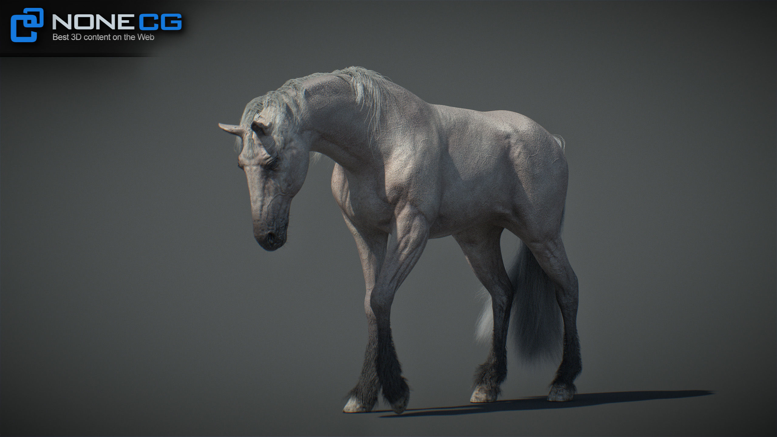 Animated Horses v5 3D model_37