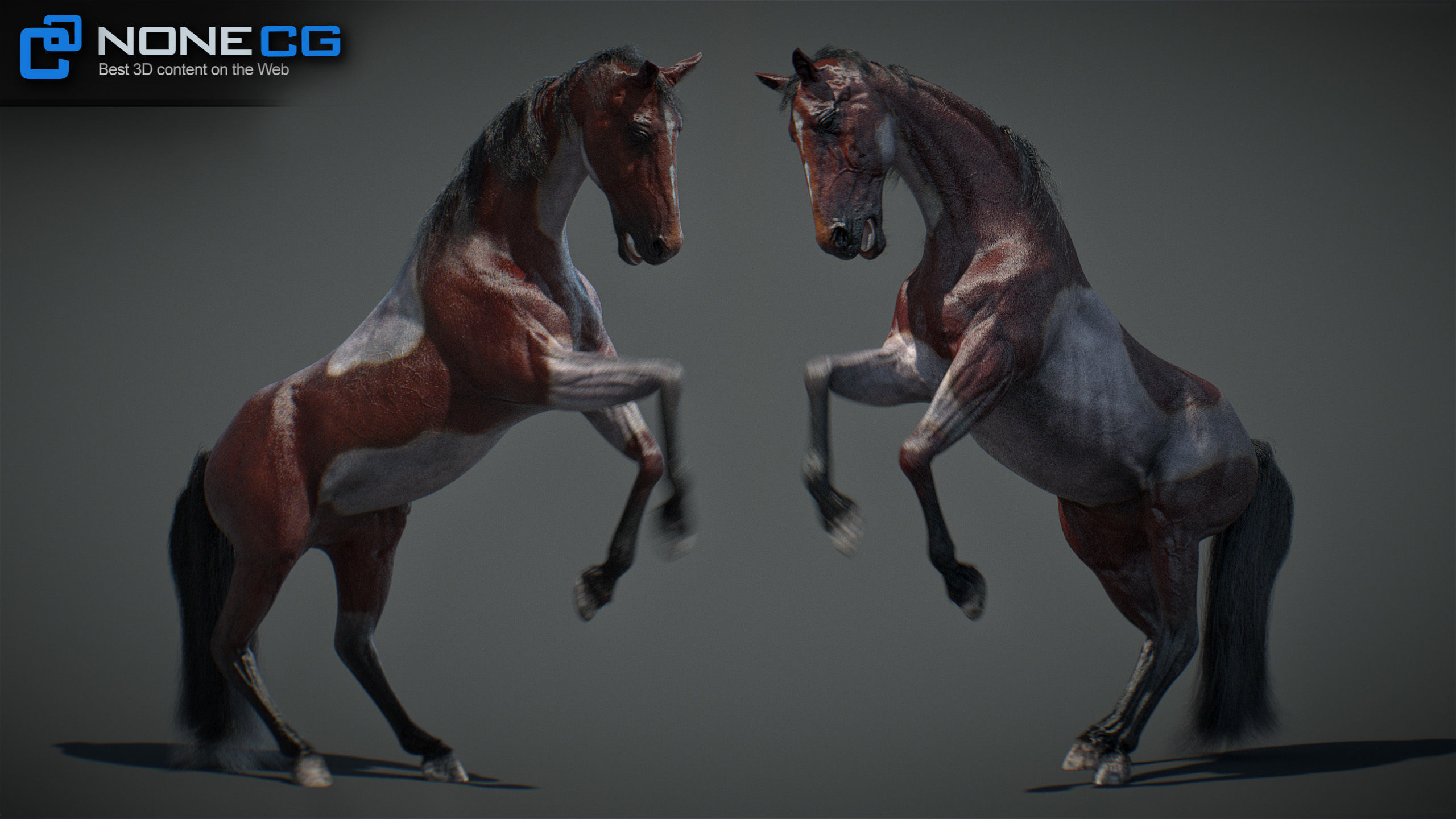 Animated Horses v5 3D model_24