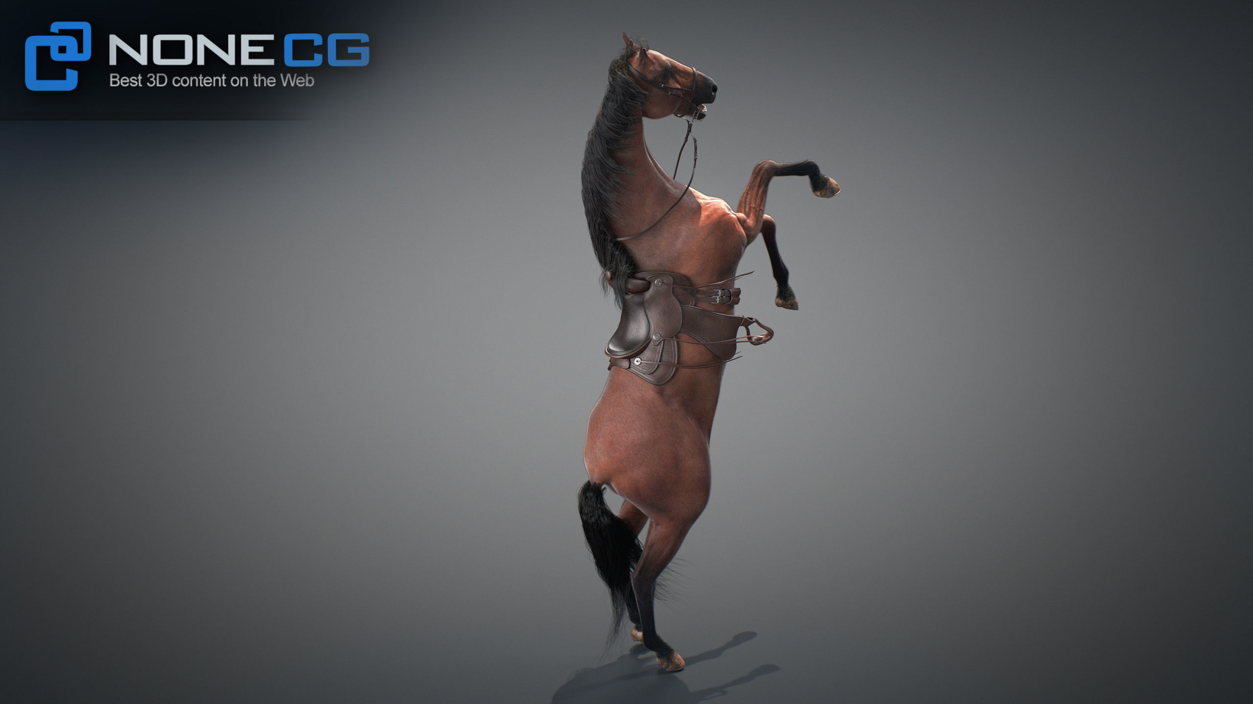 Animated Horses v5 3D model_46