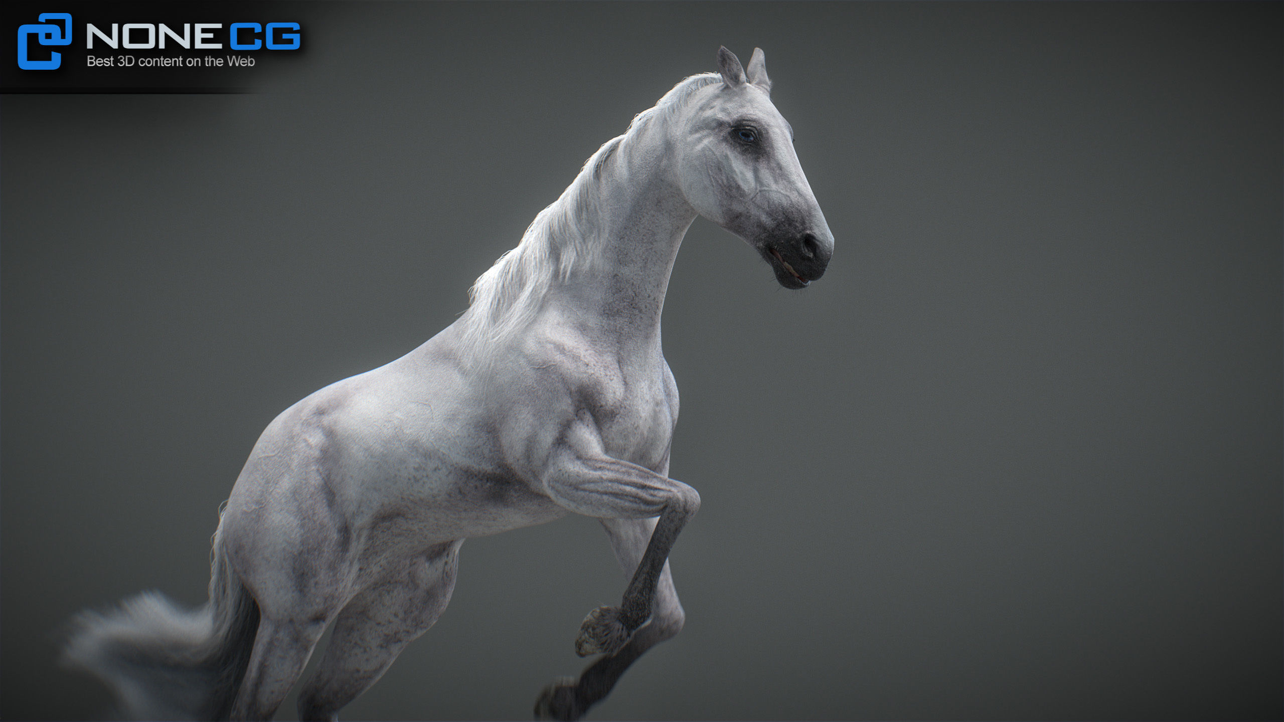 Animated Horses v5 3D model_56