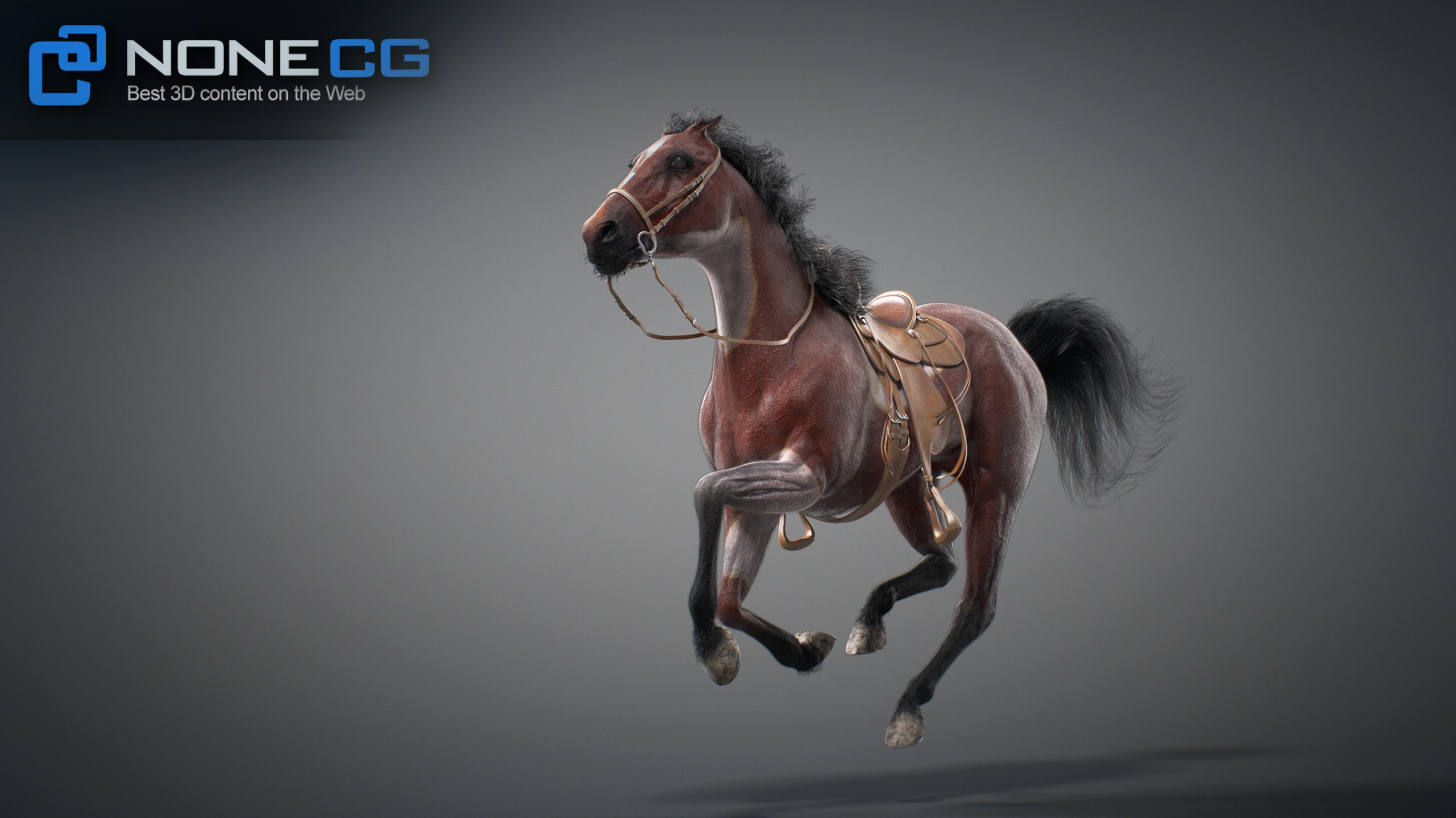 Animated Horses v5 3D model_33