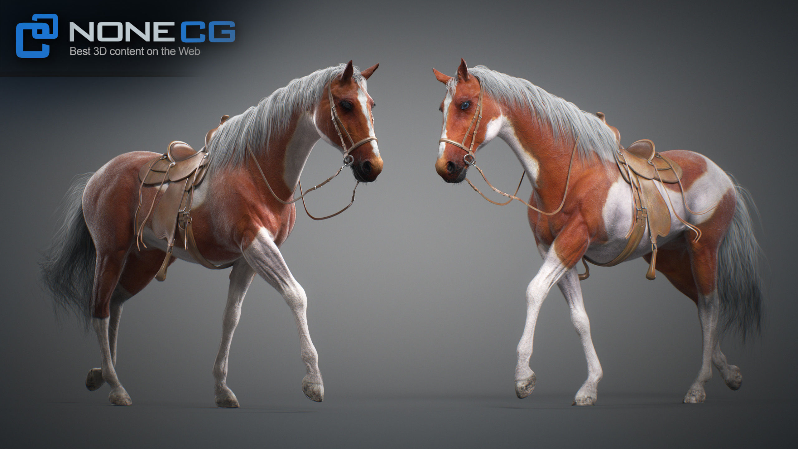Animated Horses v5 3D model_71