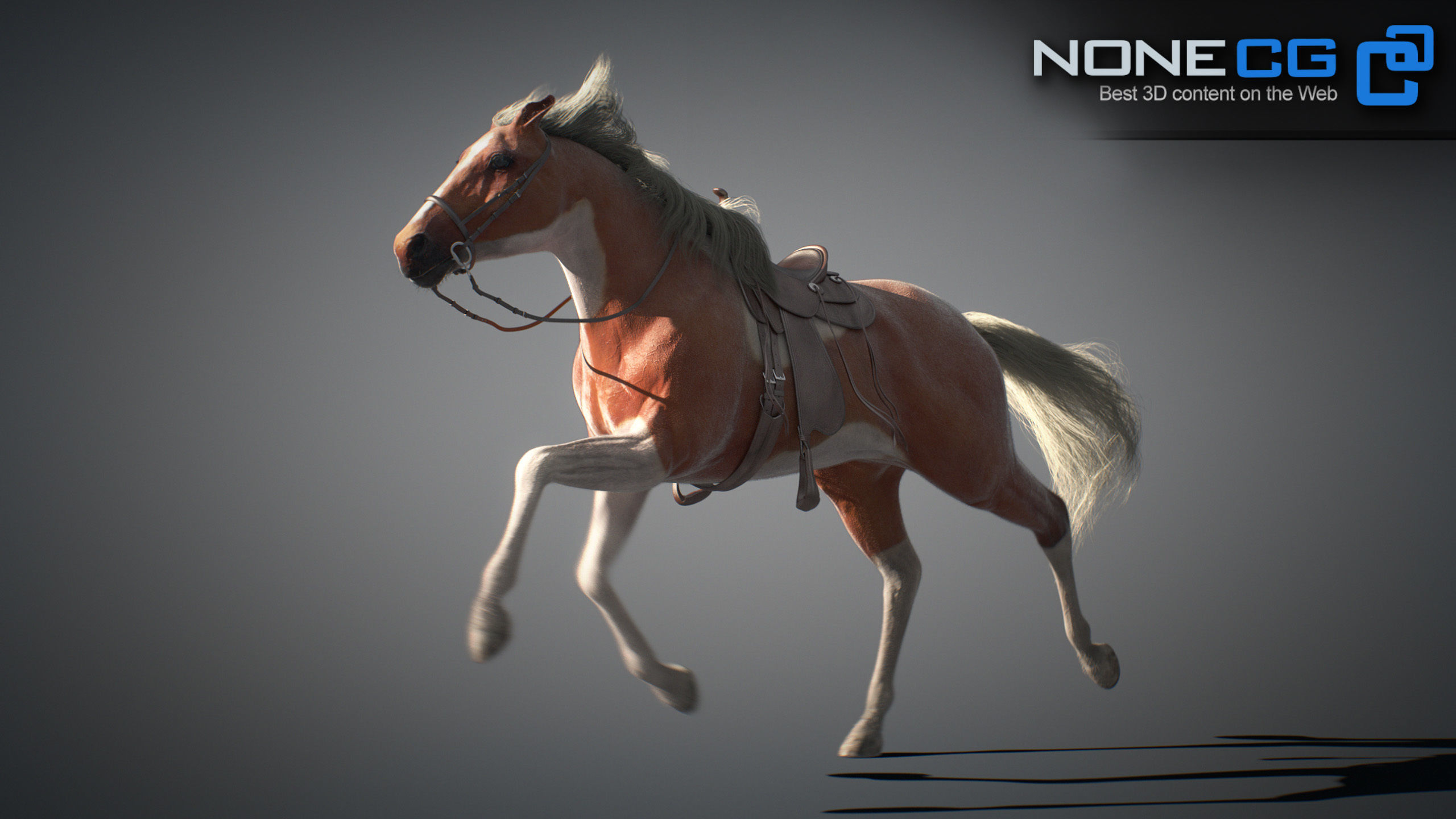 Animated Horses v5 3D model_45