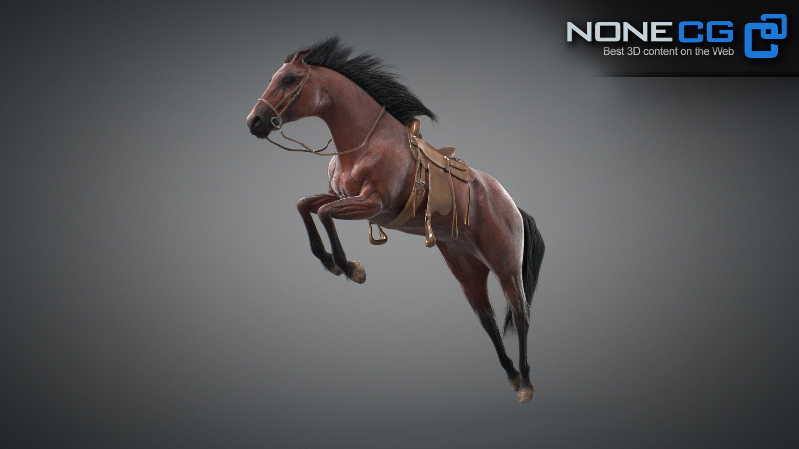 Animated Horses v5 3D model_25