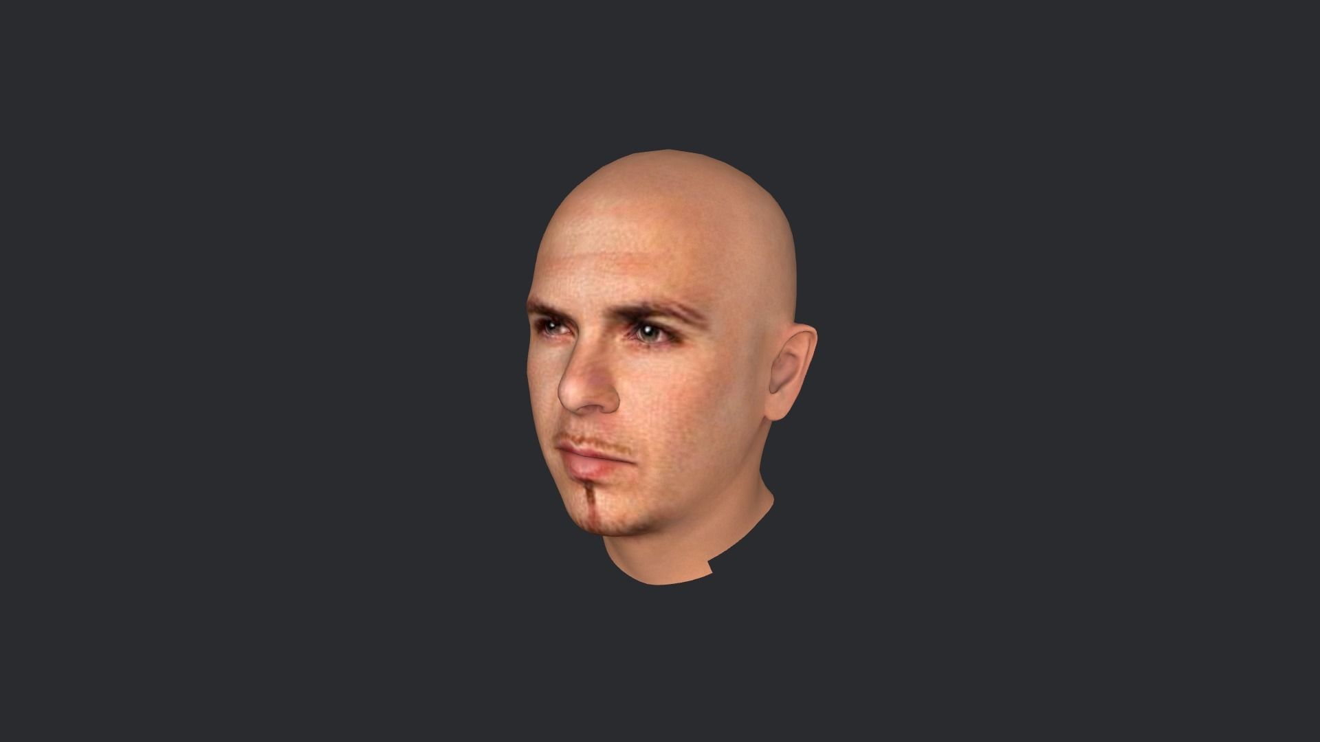 pitbull Singer Hyper Realistic Full Body Rigged Character 3D model_30