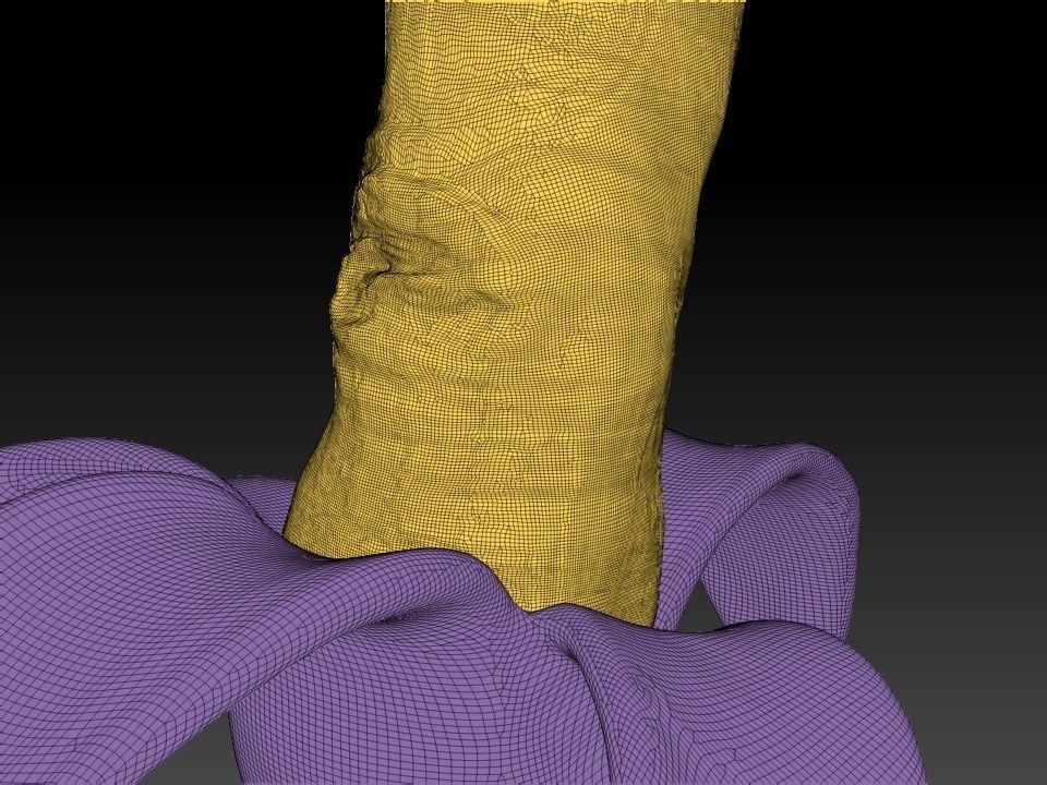 Rebellious Banana - Middle Finger Banana - flip off  3D print model_16