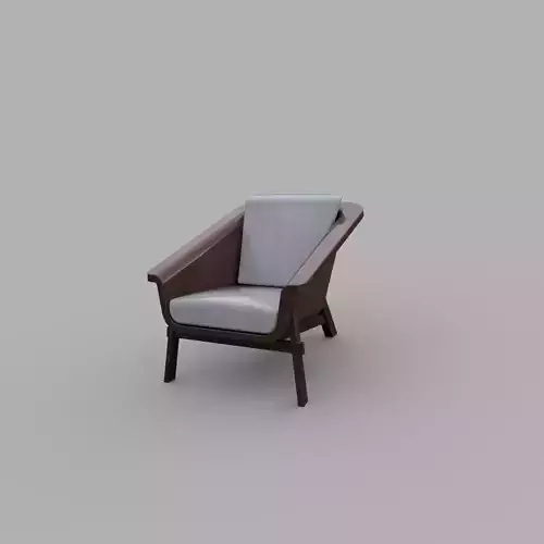 Arm Chair with Cushions 