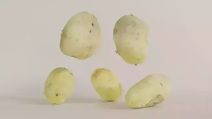 Realistic Potato pack of 5 - 3D asset 3D model