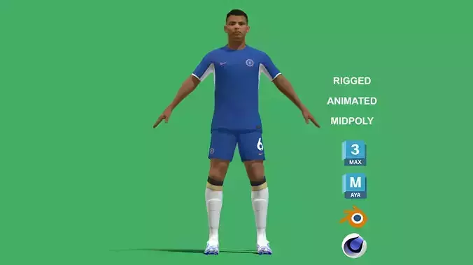 3D Rigged Thiago Silva Chelsea 2024 3D model