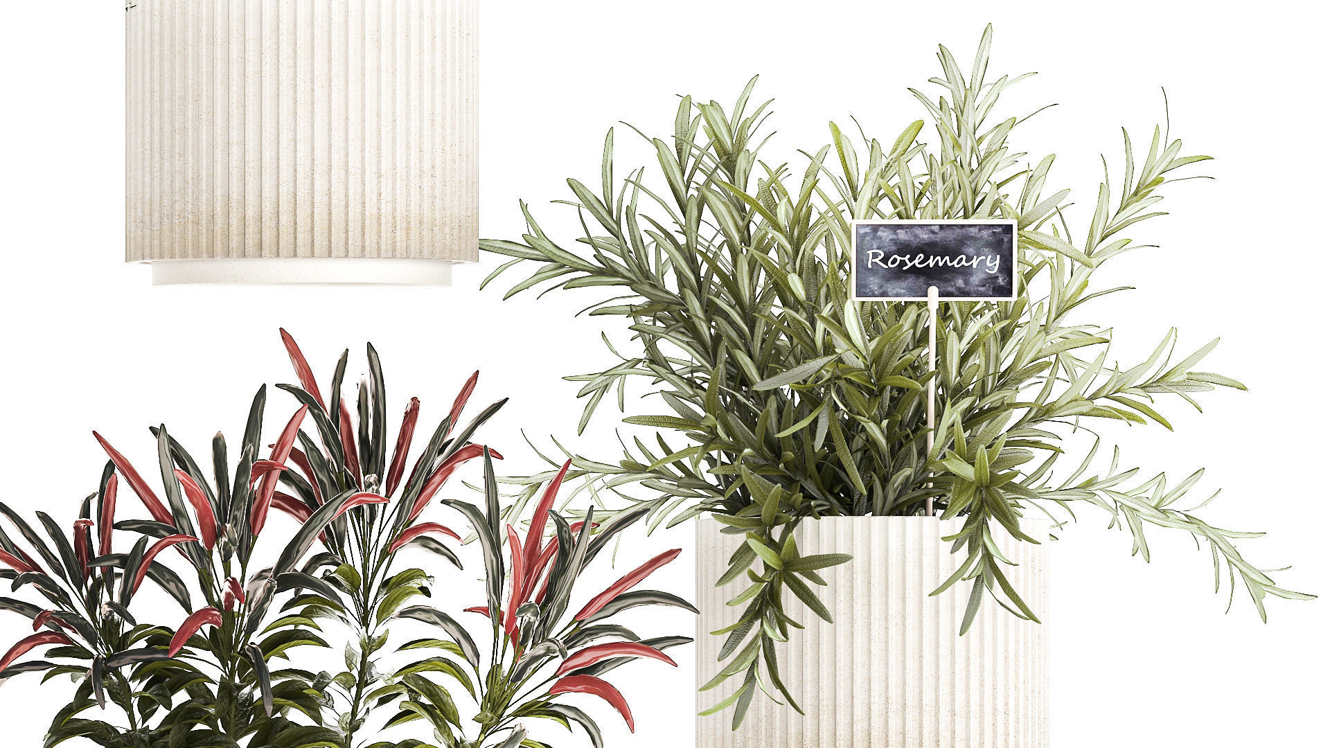 Vegetables Basil Rosemary Cherry Tomatoes Pepper 1433 3D model_4