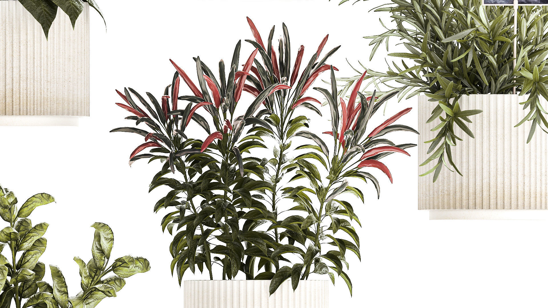Vegetables Basil Rosemary Cherry Tomatoes Pepper 1433 3D model_6