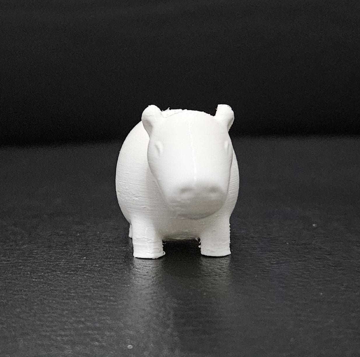 Cute Capybara 3D print model_6