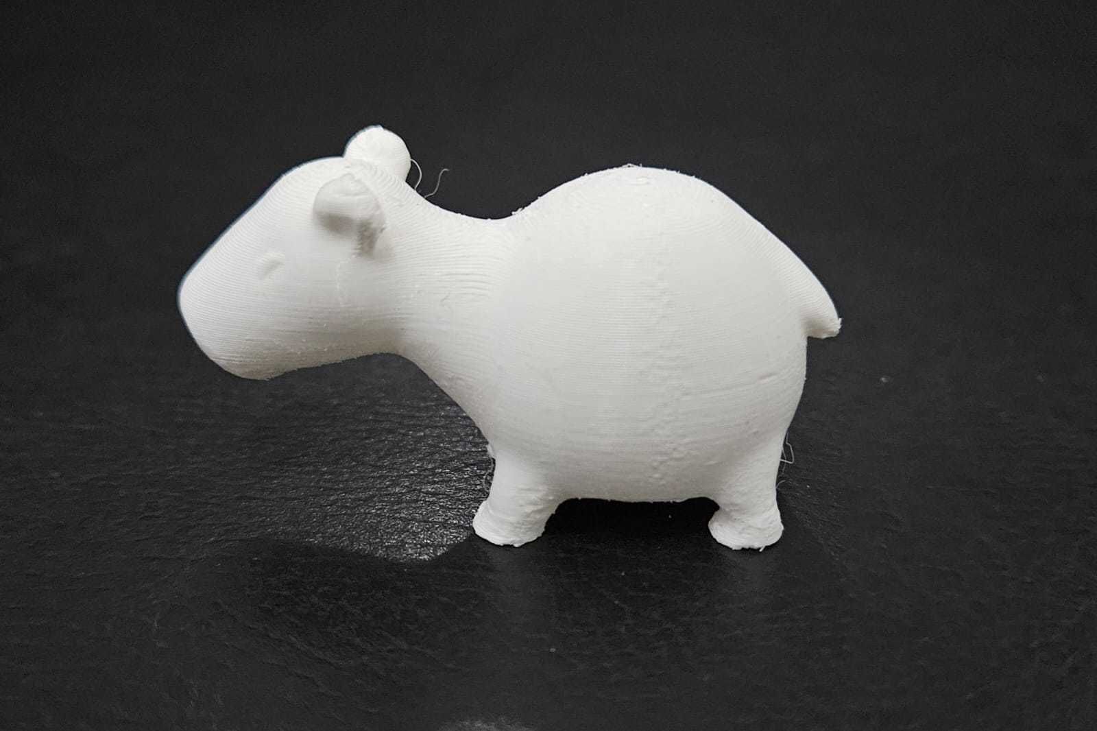 Cute Capybara 3D print model_8