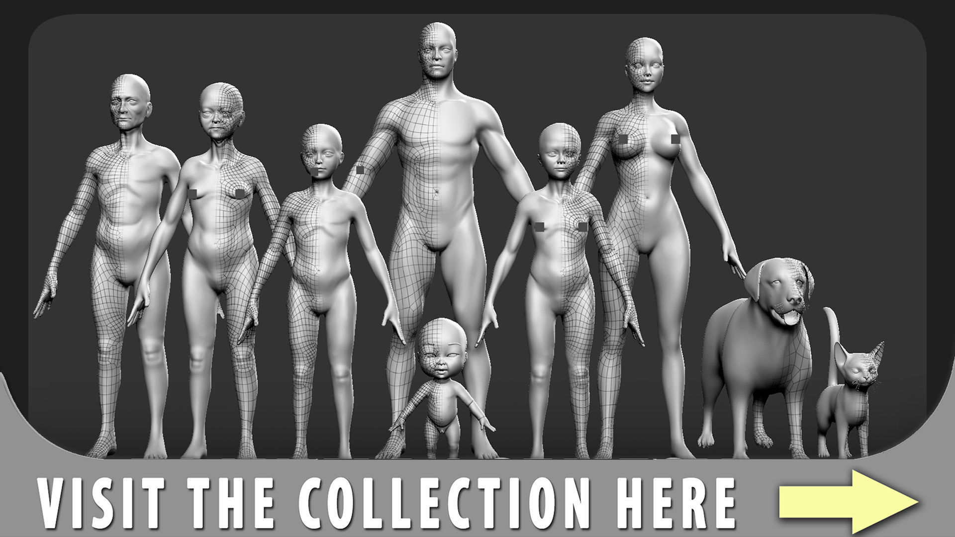 Girl Anatomy BaseMesh  Low-poly 3D model_10