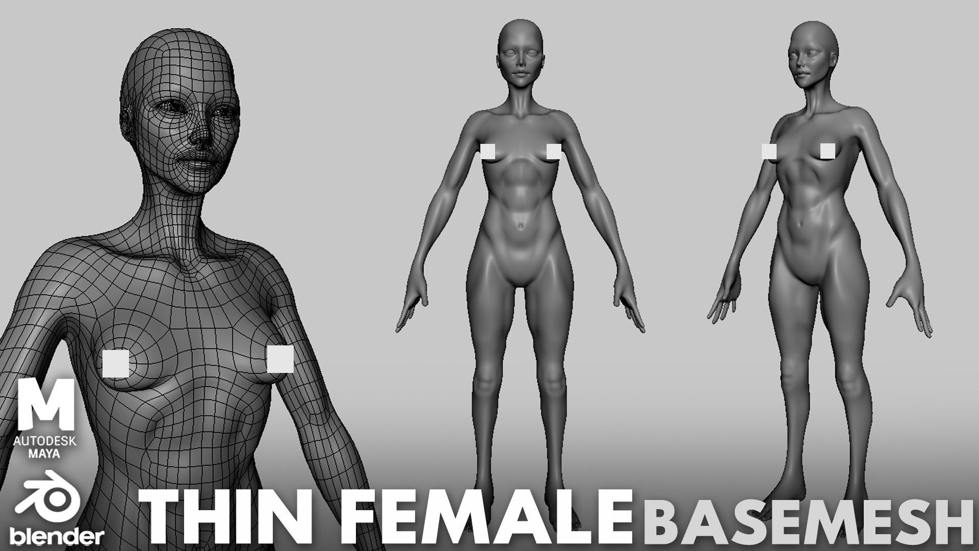 13 BaseMesh Pack 3D Model Collection_13
