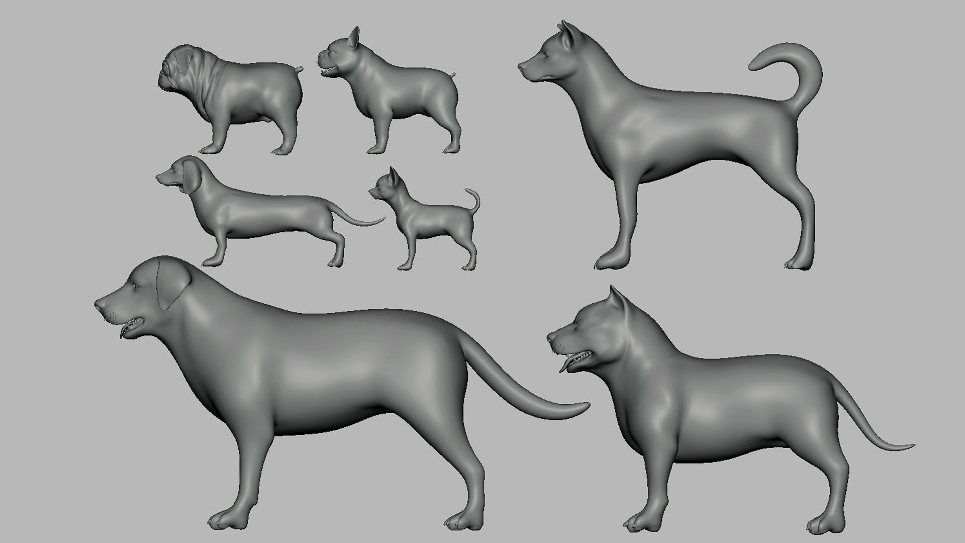 Mega Dog Pack BaseMesh Low-poly 3D model_7