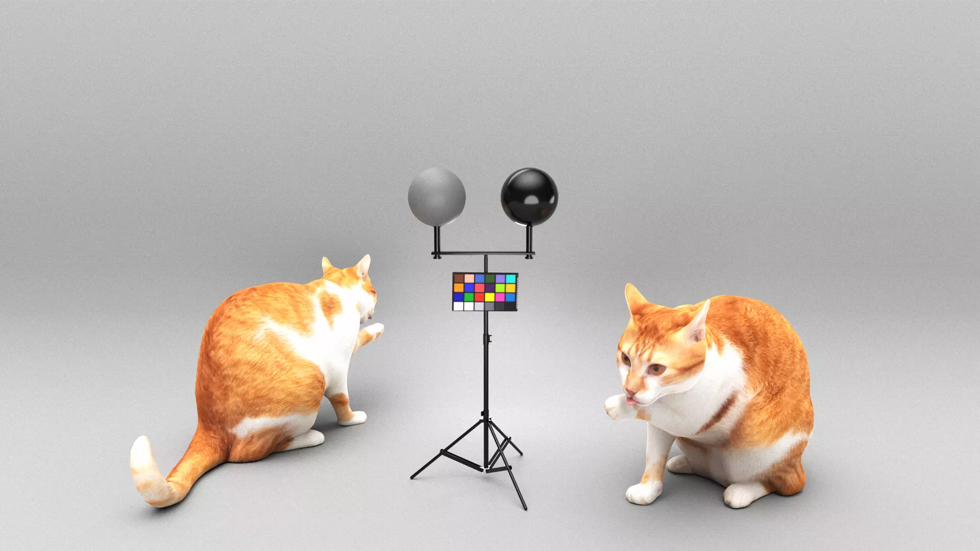 Cat licking paw 45 Low-poly 3D model_0