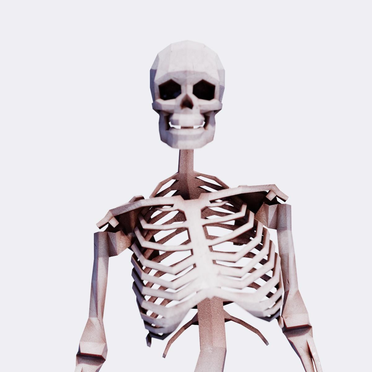 Human Skeleton 40 Poses Low-poly 3D model_1