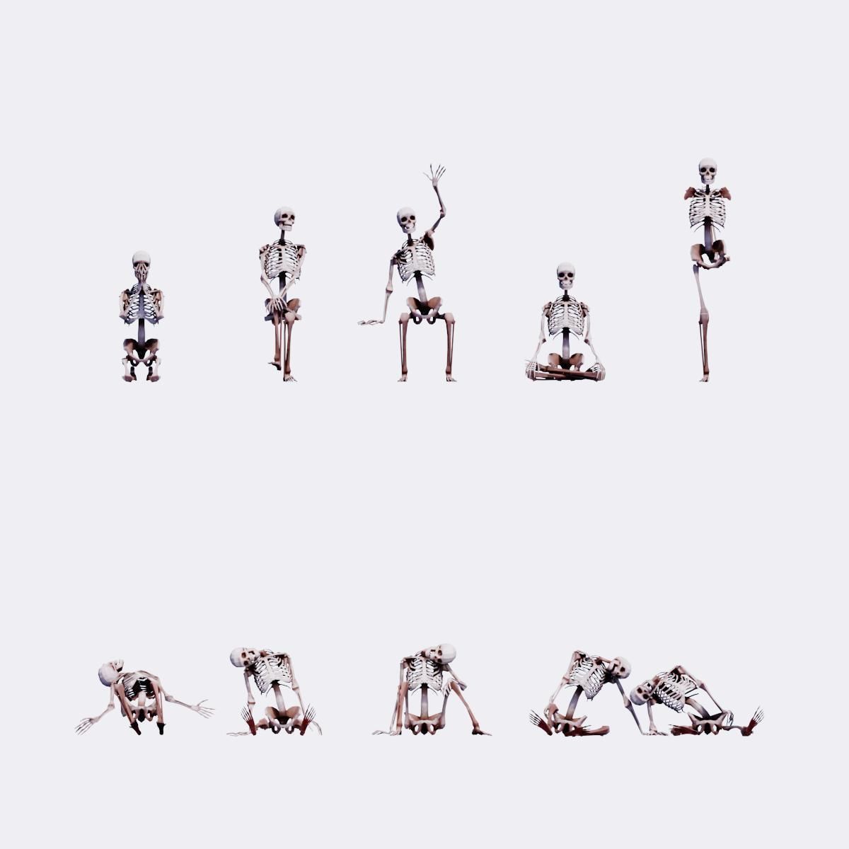 Human Skeleton 40 Poses Low-poly 3D model_2