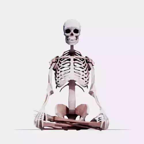 Human Skeleton 40 Poses