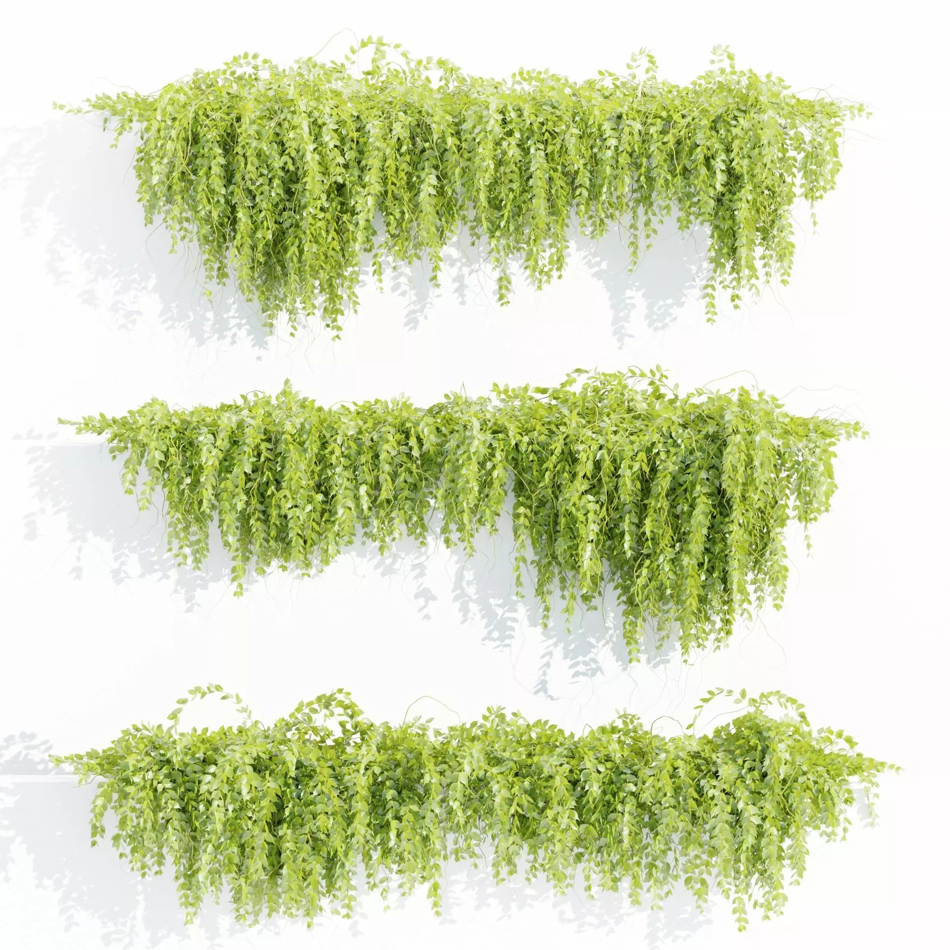 Hanging wall plants vol 127-Blender 3D model_0