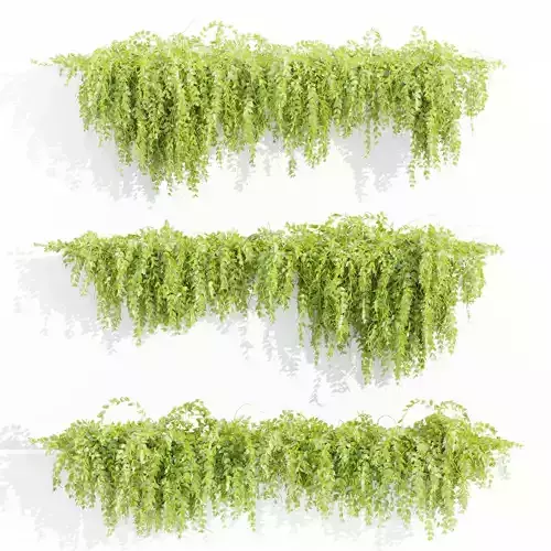 Hanging wall plants vol 127-Blender