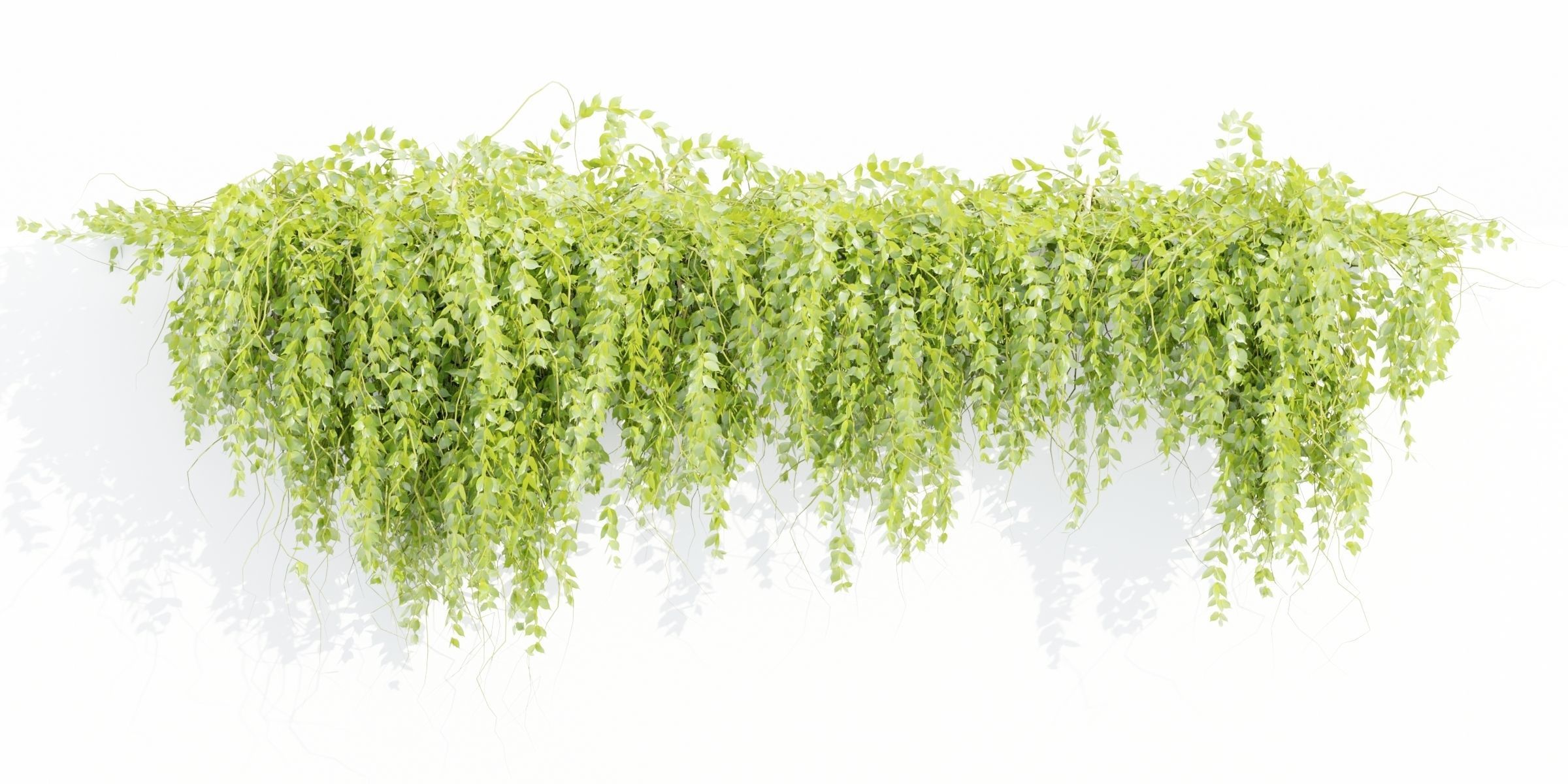 Hanging wall plants vol 127-Blender 3D model_1