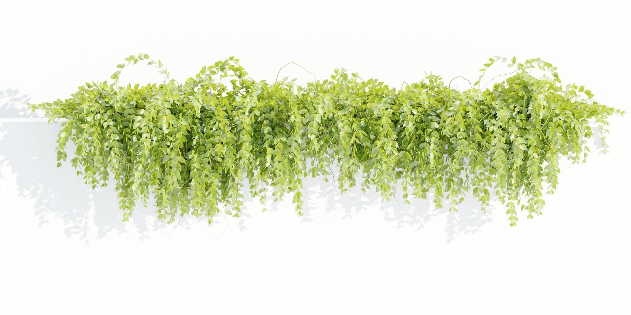 Hanging wall plants vol 127-Blender 3D model_3