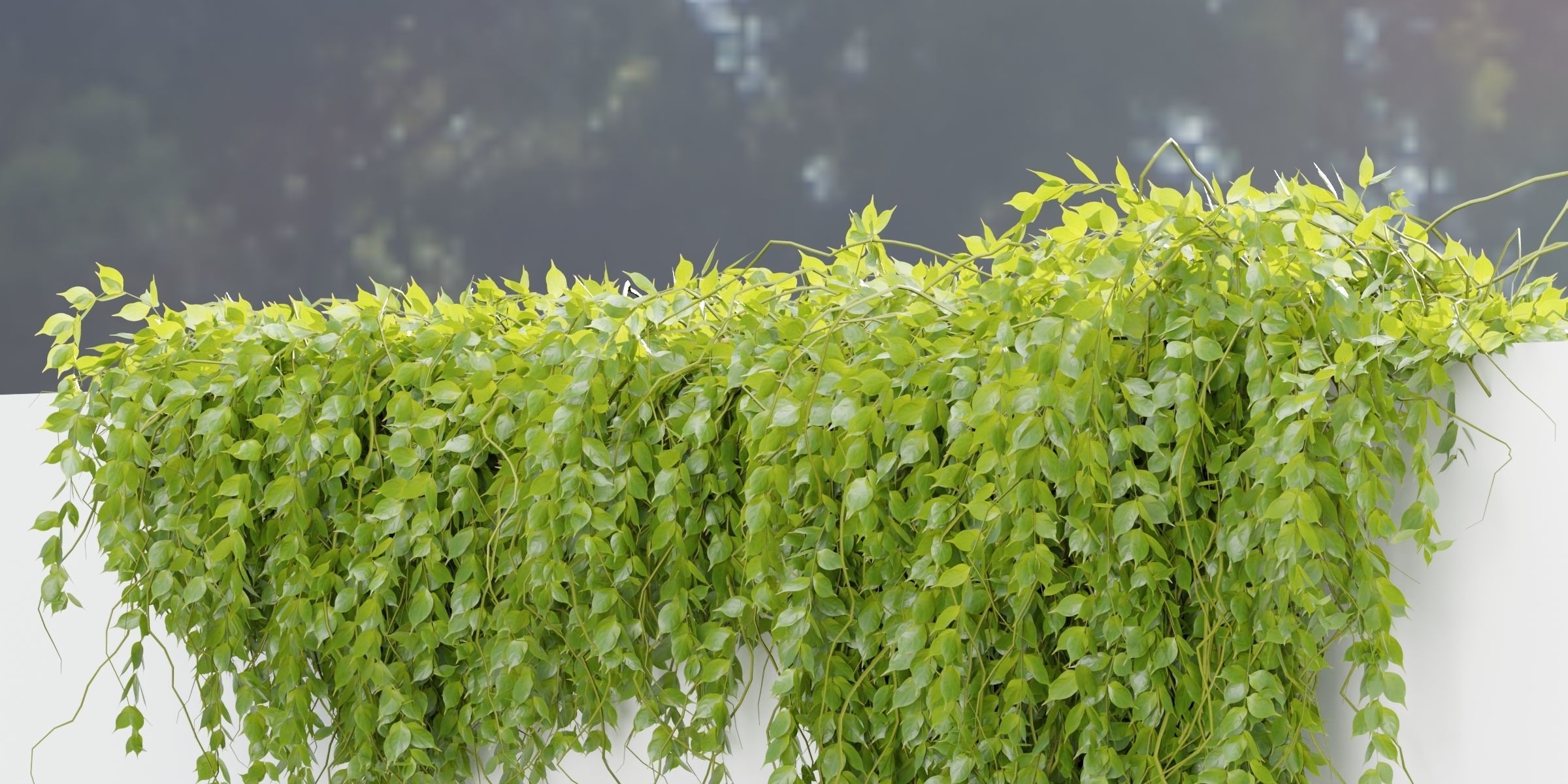 Hanging wall plants vol 127-Blender 3D model_4