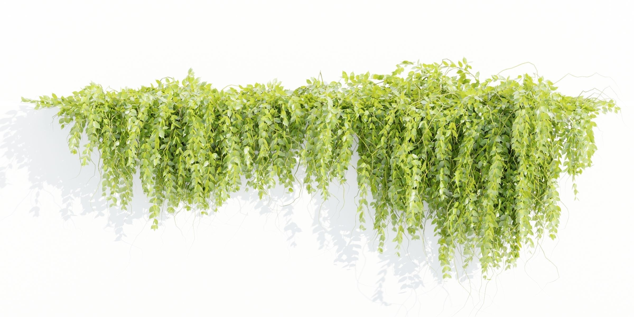 Hanging wall plants vol 127-Blender 3D model_2