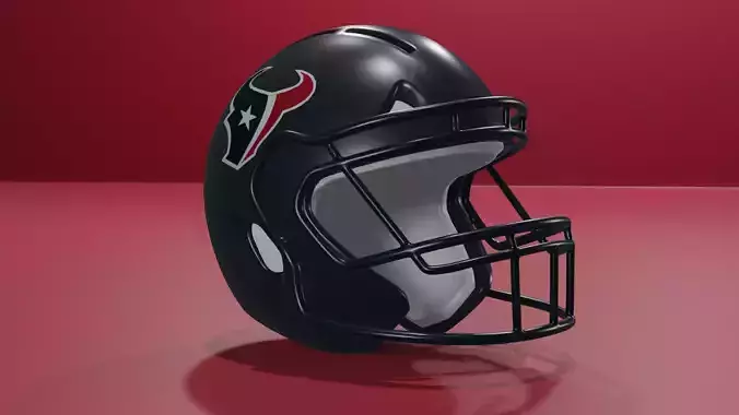 Houston Texans Football Helmet