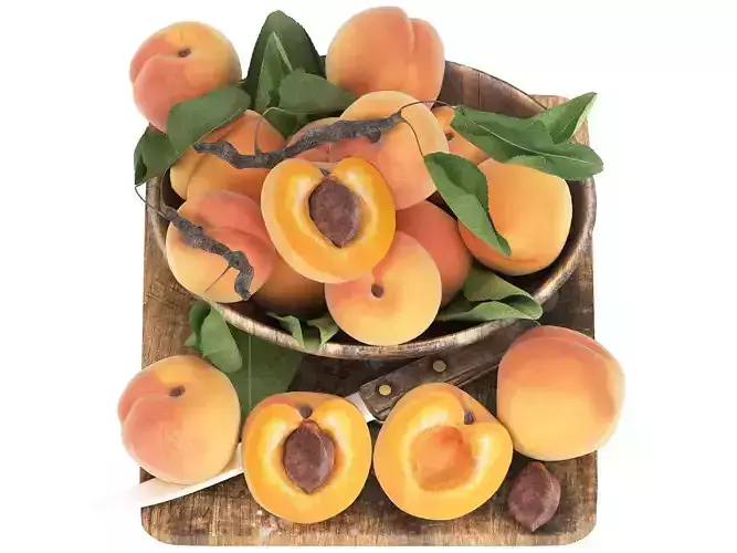 bowl of apricots 3D model
