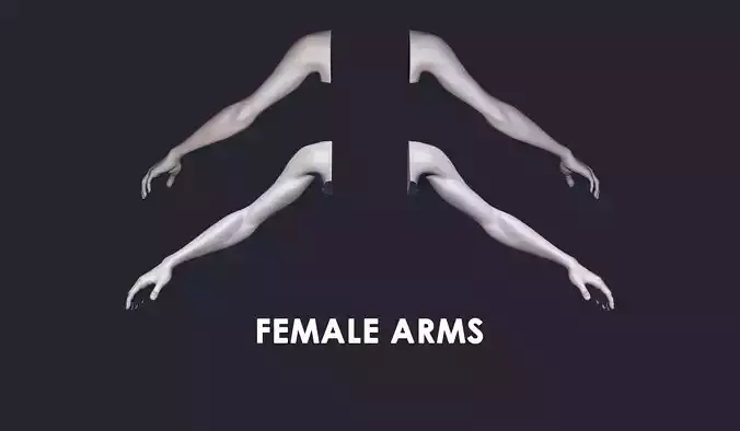 Female arms hands