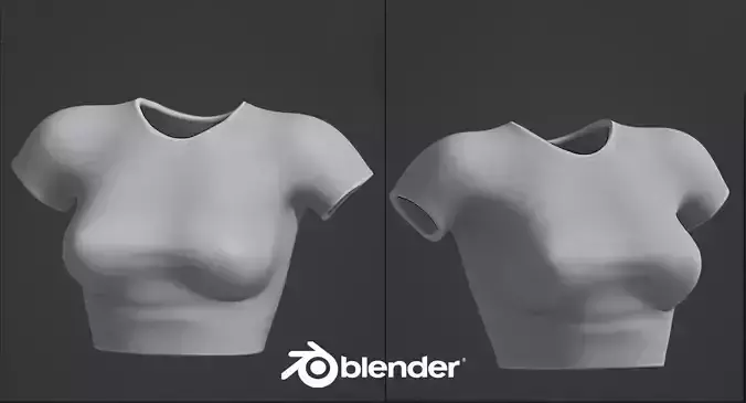 3D Mesh T-shirt  Low-poly 3D model