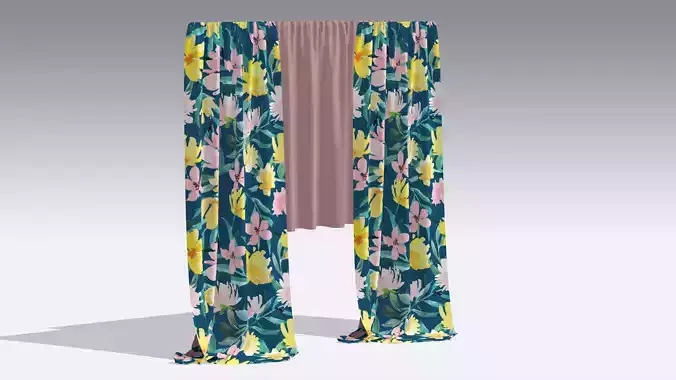 Curtain